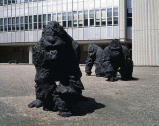 ravenna_tribunale_gorilla