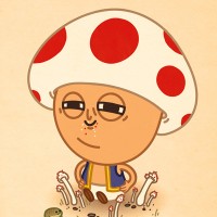 17_toad5