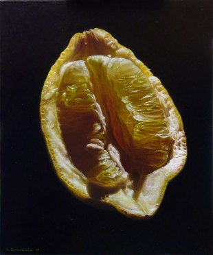 Emanuele Dascanio-hyperrealist painting-4